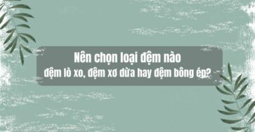 nên chọn loại đệm nào đệm lò xo đệm xơ dừa hay đệm bông ép