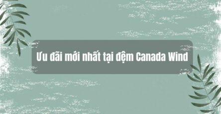 ưu đãi mới nhất tại đệm canada wind